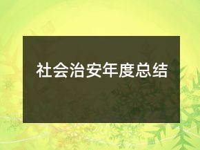 社会治安年度总结