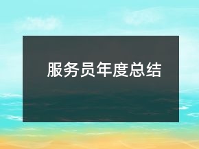 服务员年度总结