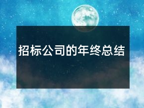 招标公司的年终总结