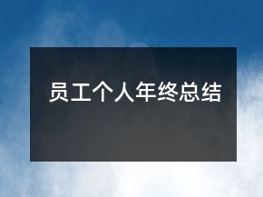 员工个人年终总结