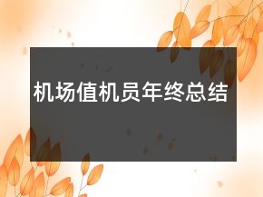 机场值机员年终总结