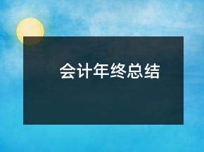 会计年终总结