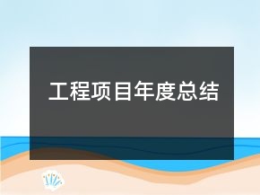 工程项目年度总结