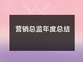 营销总监年度总结