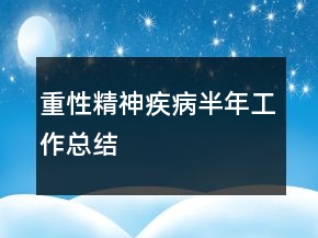 重性精神疾病半年工作总结