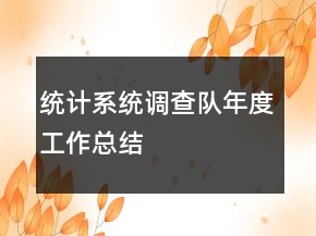 统计系统调查队年度工作总结