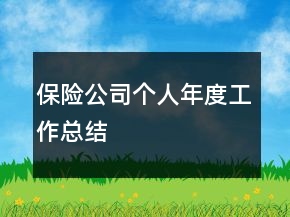 保险公司个人年度工作总结