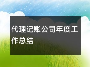 代理记账公司年度工作总结