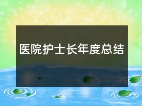 医院护士长年度总结