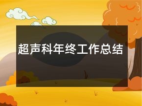 超声科年终工作总结