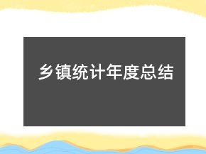 乡镇统计年度总结