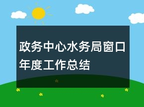 政务中心水务局窗口年度工作总结