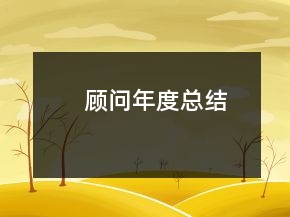 顾问年度总结