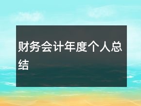 财务会计年度个人总结