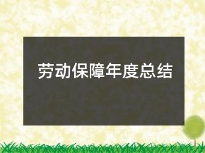 劳动保障年度总结