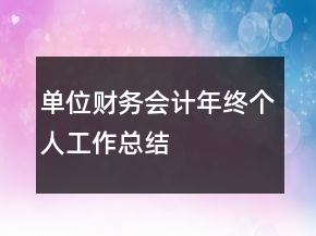 单位财务会计年终个人工作总结