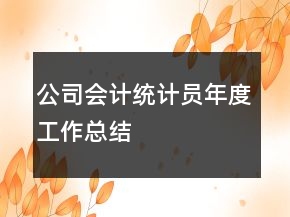 公司会计统计员年度工作总结
