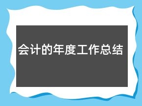 会计的年度工作总结