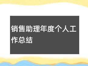 销售助理年度个人工作总结