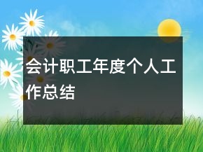 会计职工年度个人工作总结
