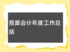预算会计年度工作总结