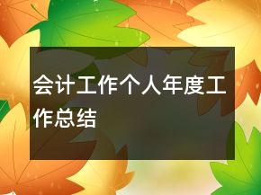 会计工作个人年度工作总结