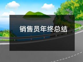 销售员年终总结