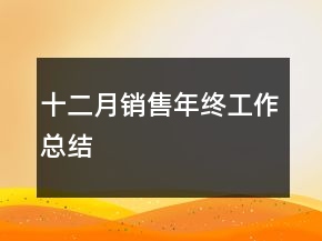十二月销售年终工作总结