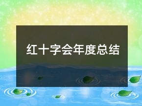 红十字会年度总结