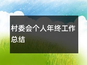 村委会个人年终工作总结