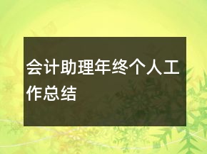 会计助理年终个人工作总结