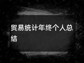 贸易统计年终个人总结