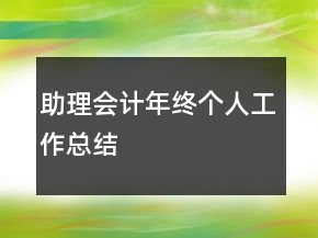 助理会计年终个人工作总结
