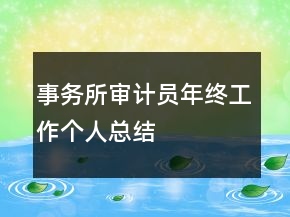 事务所审计员年终工作个人总结