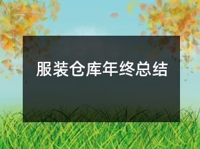 服装仓库年终总结