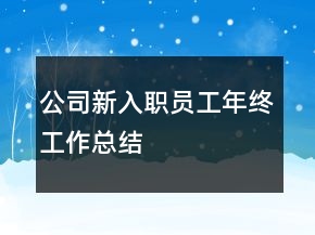 公司新入职员工年终工作总结