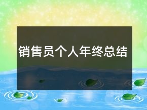 销售员个人年终总结