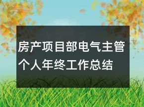 房产项目部电气主管个人年终工作总结