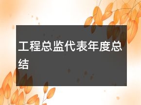 工程总监代表年度总结