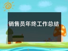 销售员年终工作总结
