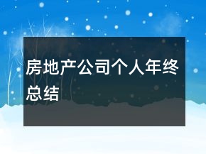 房地产公司个人年终总结