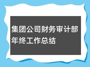 集团公司财务审计部年终工作总结