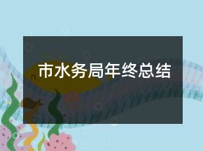 市水务局年终总结