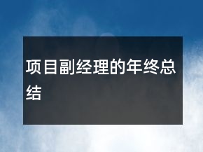 项目副经理的年终总结