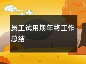 员工试用期年终工作总结