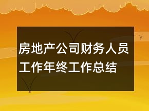 房地产公司财务人员工作年终工作总结