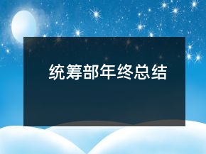 统筹部年终总结