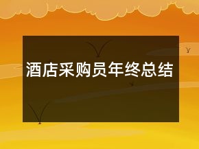 酒店采购员年终总结
