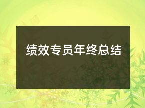 绩效专员年终总结