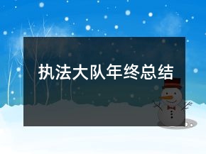 执法大队年终总结